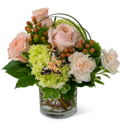 Expressions of Gratitude Arrangement