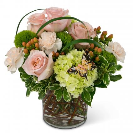 Expressions of Gratitude Arrangement
