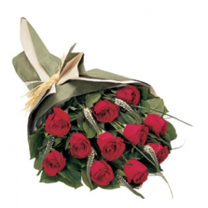 SPECIAL OF THE MONTH One dozen rose bouquet