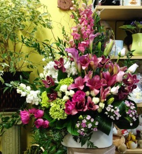 Expressions of Pink MODERN MIX