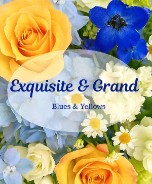 Exquisite and Grand Curated Elegance