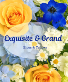 Exquisite and Grand Curated Elegance