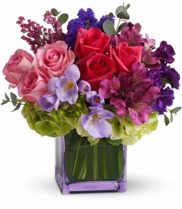 Exquisite Beauty T482A