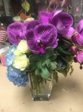 Exquisite Elegance Orchid, succulent and hydrangrea