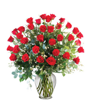 Exquisite Love Bouquet 2+ Dozen Roses