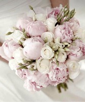 Exquisite soft pink Peonies 