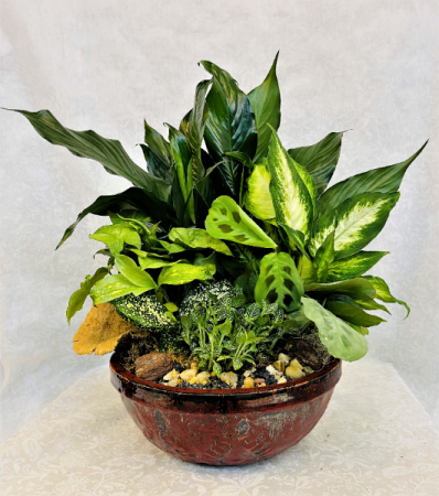 Extra Large Dish Garden