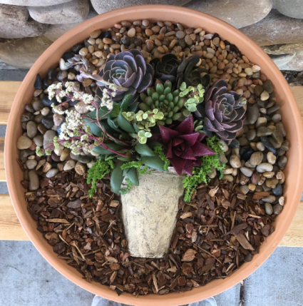 Extra Large Succulent Planter