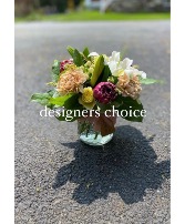 designers choice  