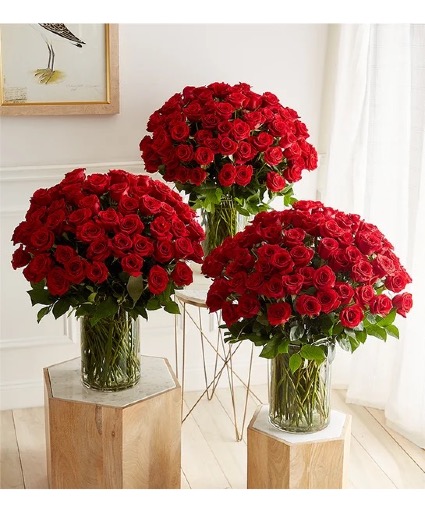 Extravagant Romance 300 Long Stem Red Roses 