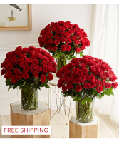 Extravagant Romance 300 Long Stem Red Roses 