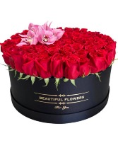 Extreme Love   100 Red Roses 