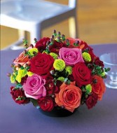 Eye Popping Beauty! Roses and other mixed flowers