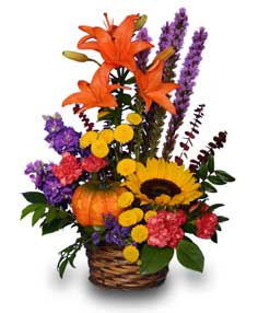 SUNNY PUMPKIN SURPRISE! in Rock Hill, SC | Ribald Events - Florals, Rentals, & Event Planning SUNNY PUMPKIN SURPRISE! in Rock Hill, SC | Ribald Events - Florals, Rentals, & Event Planning