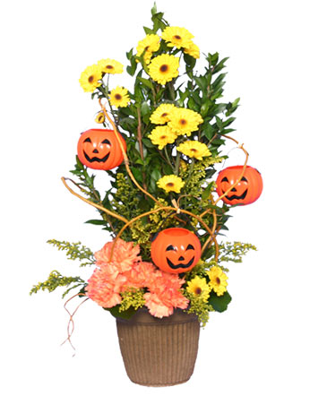 JACK O' LANTERN TREE  Halloween Flowers in Albany, NY | Ambiance Florals & Events