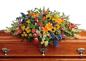 Colorful Reflections  