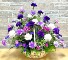 Purchase this funeral home arrangement