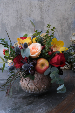 Fabulous Charmer Low and Lush