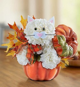 Fabulous Fall Feline In Keepsake Pumpkin