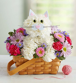Fabulous Feline™ in Valley City, OH | HILL HAVEN FLORIST & GREENHOUSE Fabulous Feline™ in Valley City, OH | HILL HAVEN FLORIST & GREENHOUSE