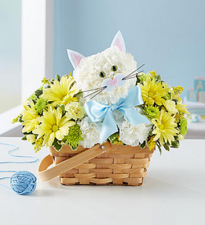 Fabulous Feline™ for Baby Boy in Valley City, OH | HILL HAVEN FLORIST & GREENHOUSE Fabulous Feline™ for Baby Boy in Valley City, OH | HILL HAVEN FLORIST & GREENHOUSE