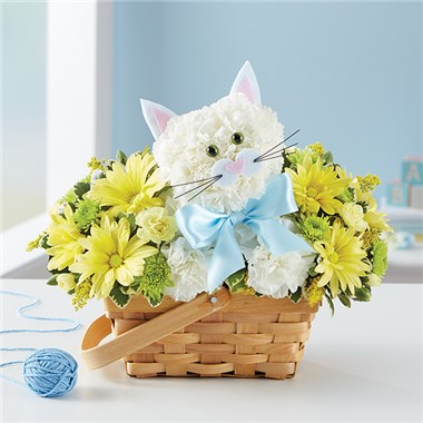 Fabulous Feline For Baby Boy