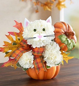 FABULOUS FELINE FOR FALL