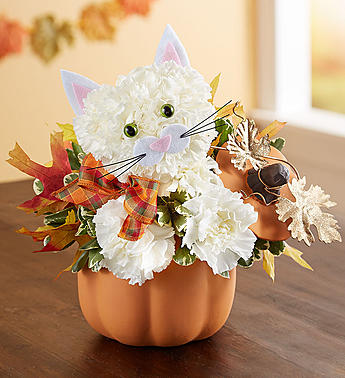 Fabulous Feline™ for Fall *ON SALE*
