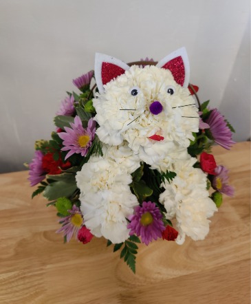 Fabulous feline get well just because   in Apache Junction, AZ | No Reason Why Flowers