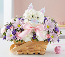 Fabulous Feline™ Girl Arrangement