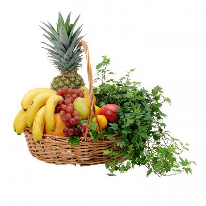Fabulous Fruit Basket Basket