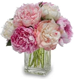 FABULOUS PEONIES
