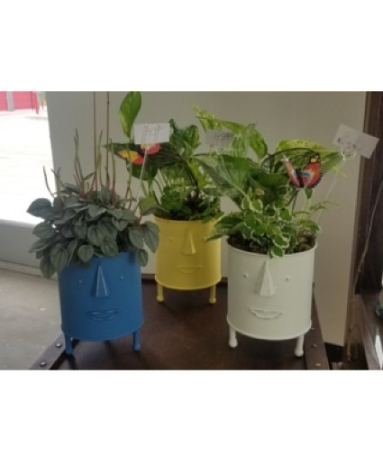 Face Planter