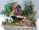 Fairy Forest on Fairy Lane mixed succulent planter/ art