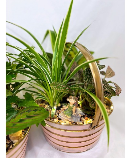 Fairy Garden Basket House Plants