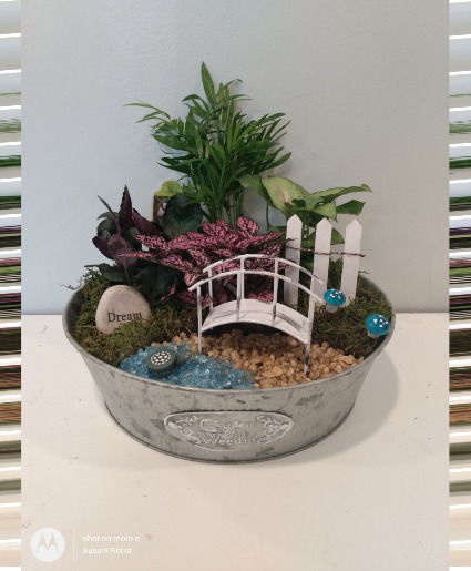 Fairy Garden Dish Garden