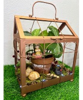 Fairy Garden Greenhouse House Plant