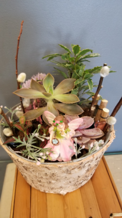 Fairy Garden Succulant planter
