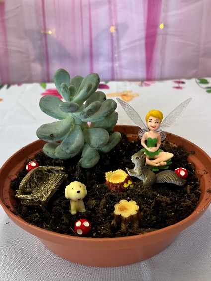 Fairy Garden Succulents