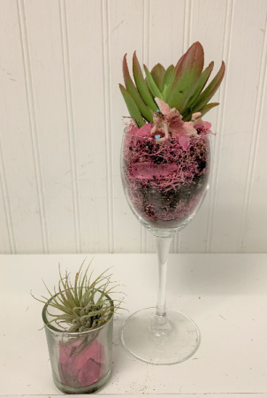 Fairy Precious Succulents/ set of 2
