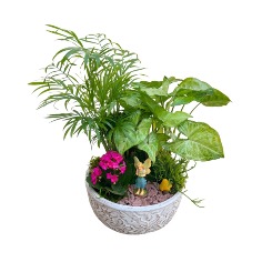 Category Image