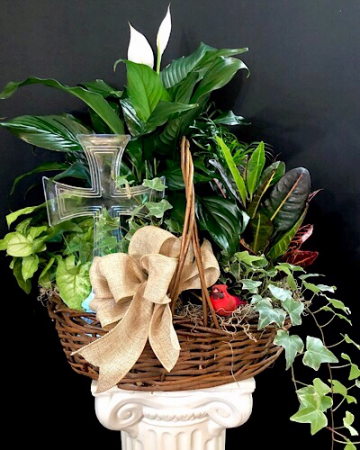 Faith plant basket Planter in Chesterfield, MO | ZENGEL FLOWERS AND GIFTS