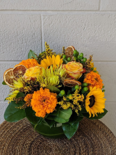 Circus and Citrus  Arrangement