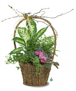 Pretty Garden  Basket Planter