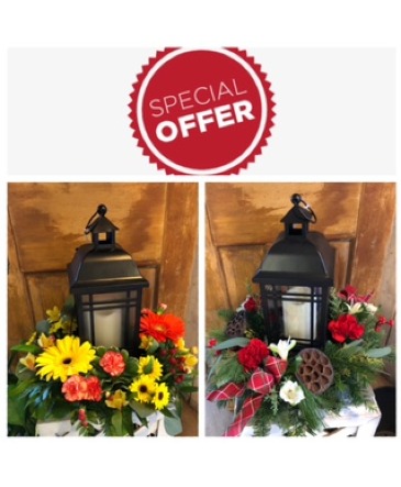 Fall and Winter Lantern Special Offer Centerpiece in Kensington, CT | BRIERLEY-JOHNSON THE FLORIST