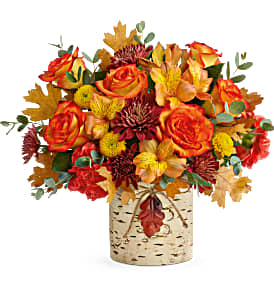 Fall Autumn Colors T20T300B