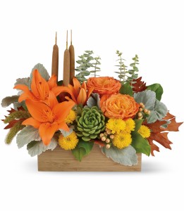 Fall Bamboo Garden HFL1091A