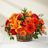 Fall basket 