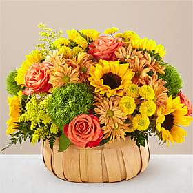 fall basket 