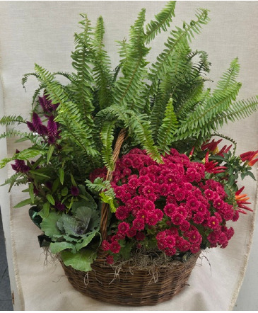 Fall Basket Planter in Croton On Hudson, NY | Cooke's Little Shoppe Of Flowers